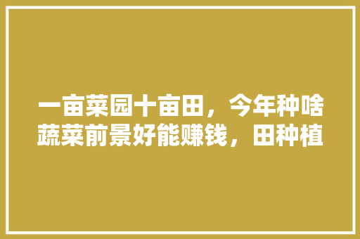 一亩菜园十亩田，今年种啥蔬菜前景好能赚钱，田种植水果蔬菜图片大全。 一亩菜园十亩田，今年种啥蔬菜前景好能赚钱，田种植水果蔬菜图片大全。 蔬菜种植