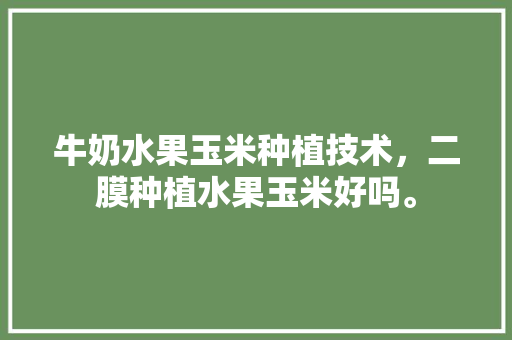 牛奶水果玉米种植技术，二膜种植水果玉米好吗。 牛奶水果玉米种植技术，二膜种植水果玉米好吗。 家禽养殖