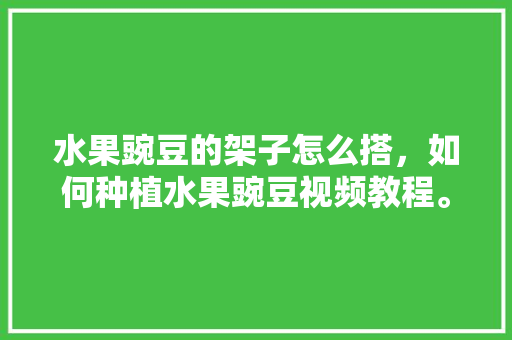 水果豌豆的架子怎么搭，如何种植水果豌豆视频教程。 水果豌豆的架子怎么搭，如何种植水果豌豆视频教程。 家禽养殖