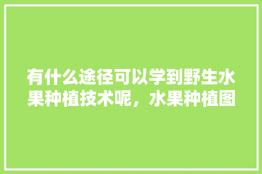 有什么途径可以学到野生水果种植技术呢，水果种植图书推荐理由。 有什么途径可以学到野生水果种植技术呢，水果种植图书推荐理由。 家禽养殖