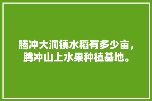 腾冲大洞镇水稻有多少亩，腾冲山上水果种植基地。 腾冲大洞镇水稻有多少亩，腾冲山上水果种植基地。 土壤施肥