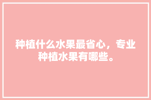 种植什么水果最省心，专业种植水果有哪些。 种植什么水果最省心，专业种植水果有哪些。 水果种植