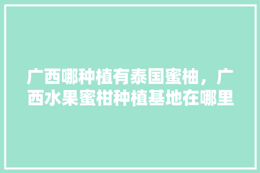 广西哪种植有泰国蜜柚，广西水果蜜柑种植基地在哪里。 广西哪种植有泰国蜜柚，广西水果蜜柑种植基地在哪里。 蔬菜种植