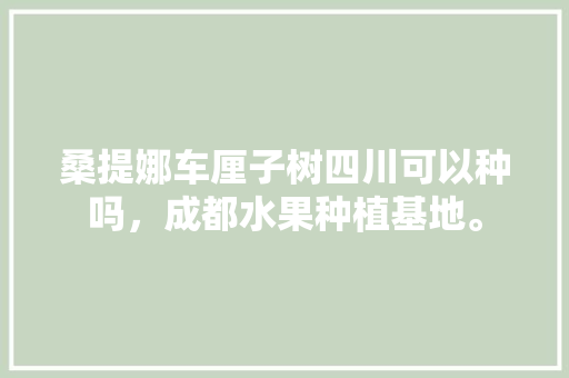 桑提娜车厘子树四川可以种吗，成都水果种植基地。 桑提娜车厘子树四川可以种吗，成都水果种植基地。 土壤施肥