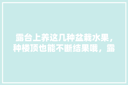 露台上养这几种盆栽水果，种楼顶也能不断结果哦，露天种植水果阳台图片大全。 露台上养这几种盆栽水果，种楼顶也能不断结果哦，露天种植水果阳台图片大全。 水果种植