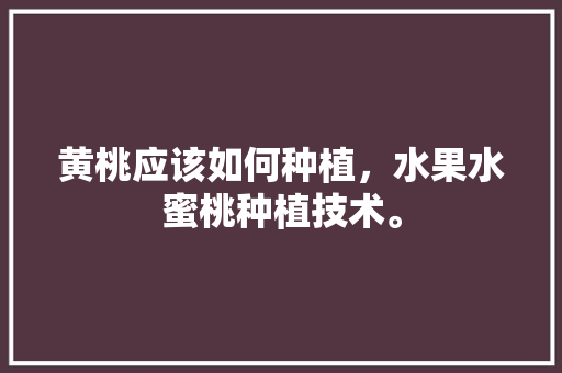 黄桃应该如何种植，水果水蜜桃种植技术。 黄桃应该如何种植，水果水蜜桃种植技术。 土壤施肥