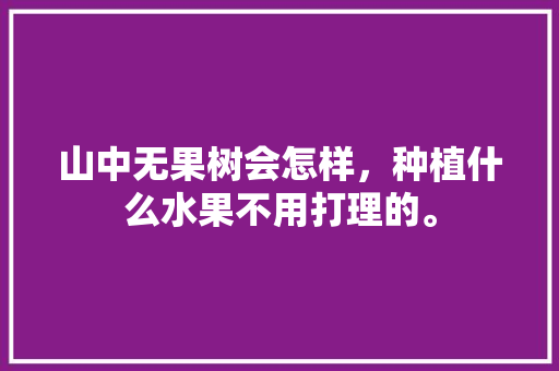 山中无果树会怎样，种植什么水果不用打理的。 山中无果树会怎样，种植什么水果不用打理的。 水果种植