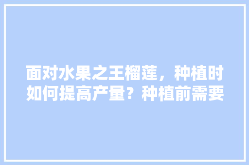 面对水果之王榴莲，种植时如何提高产量？种植前需要进行准备吗，精品水果怎么种植的呢。 面对水果之王榴莲，种植时如何提高产量？种植前需要进行准备吗，精品水果怎么种植的呢。 水果种植