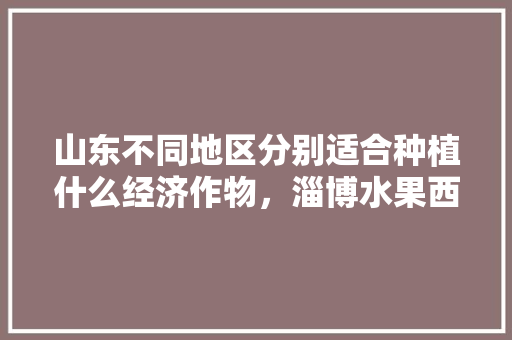 山东不同地区分别适合种植什么经济作物，淄博水果西红柿种植基地在哪里。 山东不同地区分别适合种植什么经济作物，淄博水果西红柿种植基地在哪里。 水果种植