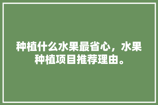 种植什么水果最省心，水果种植项目推荐理由。 种植什么水果最省心，水果种植项目推荐理由。 蔬菜种植