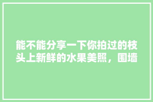 能不能分享一下你拍过的枝头上新鲜的水果美照，围墙水果种植图片欣赏大全。 能不能分享一下你拍过的枝头上新鲜的水果美照，围墙水果种植图片欣赏大全。 土壤施肥