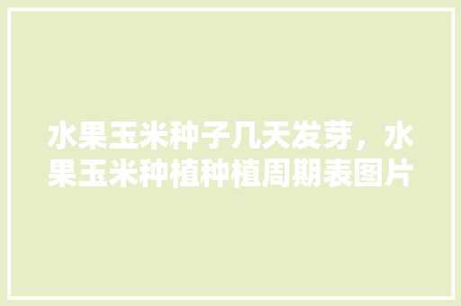 水果玉米种子几天发芽，水果玉米种植种植周期表图片。 水果玉米种子几天发芽，水果玉米种植种植周期表图片。 畜牧养殖