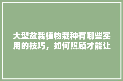 大型盆栽植物栽种有哪些实用的技巧，如何照顾才能让植物生长得更好，各种大型水果种植方法图片。 大型盆栽植物栽种有哪些实用的技巧，如何照顾才能让植物生长得更好，各种大型水果种植方法图片。 蔬菜种植