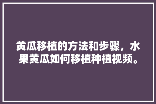 黄瓜移植的方法和步骤，水果黄瓜如何移植种植视频。 黄瓜移植的方法和步骤，水果黄瓜如何移植种植视频。 水果种植