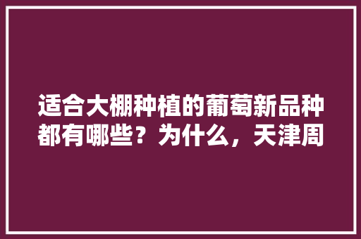 适合大棚种植的葡萄新品种都有哪些？为什么，天津周边的大棚水果种植基地。 适合大棚种植的葡萄新品种都有哪些？为什么，天津周边的大棚水果种植基地。 蔬菜种植