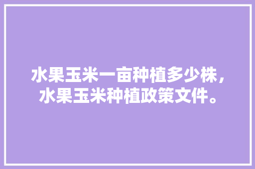 水果玉米一亩种植多少株，水果玉米种植政策文件。 水果玉米一亩种植多少株，水果玉米种植政策文件。 畜牧养殖