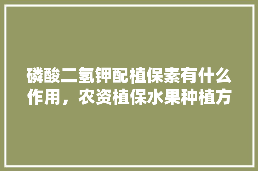 磷酸二氢钾配植保素有什么作用，农资植保水果种植方案怎么写。 磷酸二氢钾配植保素有什么作用，农资植保水果种植方案怎么写。 蔬菜种植