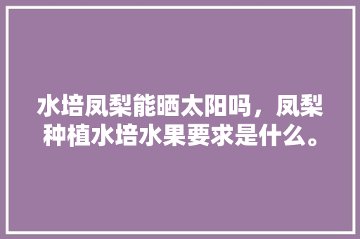 水培凤梨能晒太阳吗，凤梨种植水培水果要求是什么。 水培凤梨能晒太阳吗，凤梨种植水培水果要求是什么。 畜牧养殖