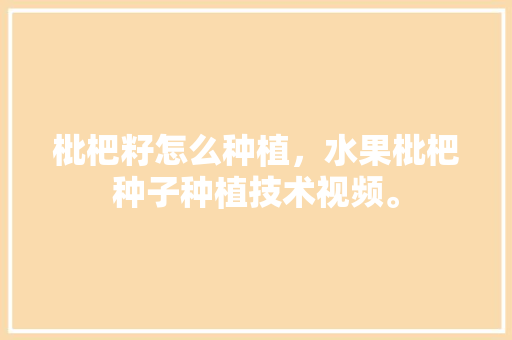 枇杷籽怎么种植，水果枇杷种子种植技术视频。 枇杷籽怎么种植，水果枇杷种子种植技术视频。 土壤施肥