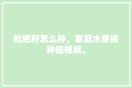 枇杷籽怎么种，家庭水果核种植视频。 枇杷籽怎么种，家庭水果核种植视频。 畜牧养殖