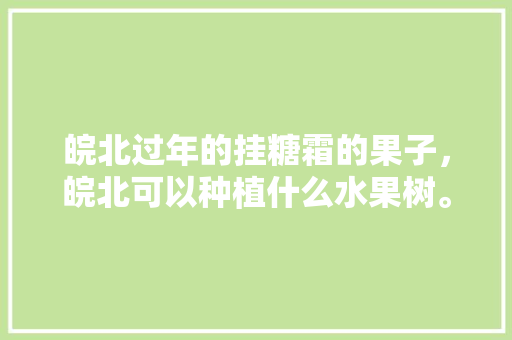 皖北过年的挂糖霜的果子，皖北可以种植什么水果树。 皖北过年的挂糖霜的果子，皖北可以种植什么水果树。 畜牧养殖