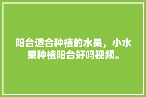 阳台适合种植的水果，小水果种植阳台好吗视频。 阳台适合种植的水果，小水果种植阳台好吗视频。 蔬菜种植