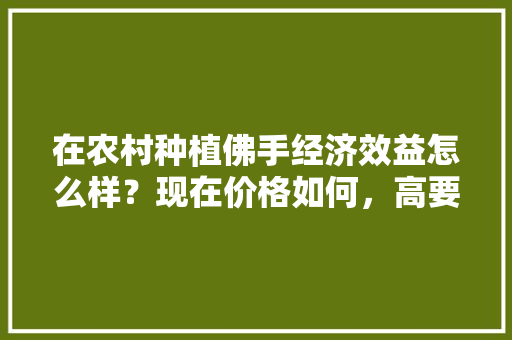 在农村种植佛手经济效益怎么样？现在价格如何，高要摘水果地方。 在农村种植佛手经济效益怎么样？现在价格如何，高要摘水果地方。 畜牧养殖