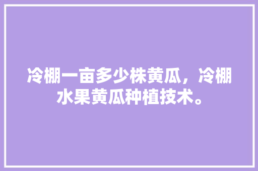 冷棚一亩多少株黄瓜，冷棚水果黄瓜种植技术。 冷棚一亩多少株黄瓜，冷棚水果黄瓜种植技术。 畜牧养殖