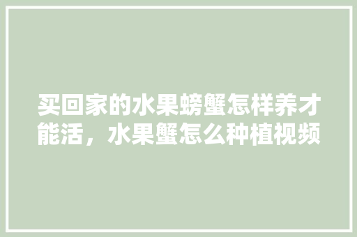 买回家的水果螃蟹怎样养才能活，水果蟹怎么种植视频。 买回家的水果螃蟹怎样养才能活，水果蟹怎么种植视频。 蔬菜种植