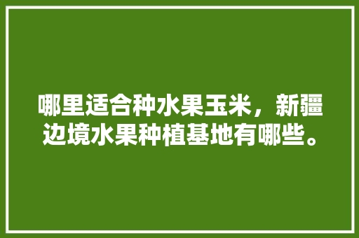 哪里适合种水果玉米，新疆边境水果种植基地有哪些。 哪里适合种水果玉米，新疆边境水果种植基地有哪些。 水果种植