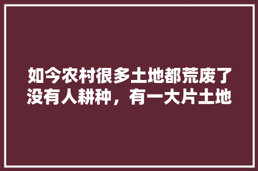 如今农村很多土地都荒废了没有人耕种，有一大片土地，种什么比较好，家里有空地水果种植好吗。 如今农村很多土地都荒废了没有人耕种，有一大片土地，种什么比较好，家里有空地水果种植好吗。 家禽养殖