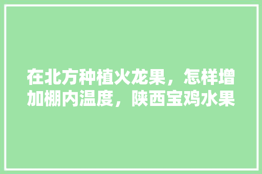 在北方种植火龙果，怎样增加棚内温度，陕西宝鸡水果种植基地。 在北方种植火龙果，怎样增加棚内温度，陕西宝鸡水果种植基地。 蔬菜种植