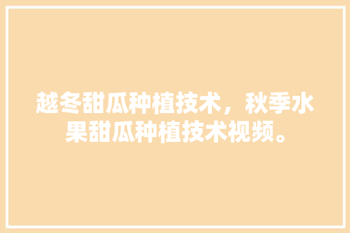 越冬甜瓜种植技术，秋季水果甜瓜种植技术视频。 越冬甜瓜种植技术，秋季水果甜瓜种植技术视频。 蔬菜种植