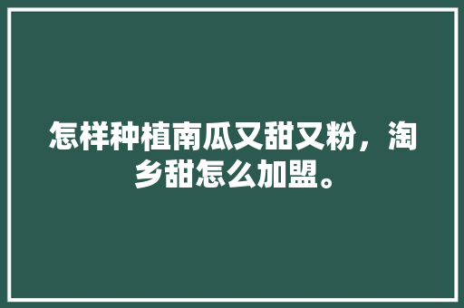 怎样种植南瓜又甜又粉，淘乡甜怎么加盟。 怎样种植南瓜又甜又粉，淘乡甜怎么加盟。 蔬菜种植