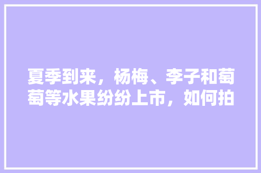 夏季到来，杨梅、李子和萄萄等水果纷纷上市，如何拍好这些水果，延时拍摄种植水果怎么拍。 夏季到来，杨梅、李子和萄萄等水果纷纷上市，如何拍好这些水果，延时拍摄种植水果怎么拍。 水果种植