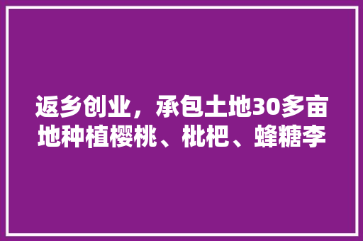 返乡创业，承包土地30多亩地种植樱桃、枇杷、蜂糖李、桃子、八月瓜、无花果，有前途吗，家庭水果种植大全。 返乡创业，承包土地30多亩地种植樱桃、枇杷、蜂糖李、桃子、八月瓜、无花果，有前途吗，家庭水果种植大全。 土壤施肥