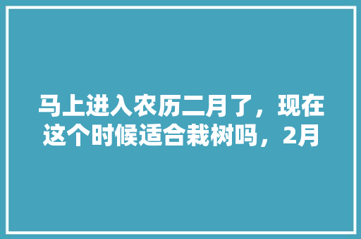 马上进入农历二月了，现在这个时候适合栽树吗，2月份可以种的蔬菜。 马上进入农历二月了，现在这个时候适合栽树吗，2月份可以种的蔬菜。 水果种植