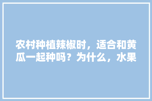 农村种植辣椒时，适合和黄瓜一起种吗？为什么，水果黄瓜立体种植图片。 农村种植辣椒时，适合和黄瓜一起种吗？为什么，水果黄瓜立体种植图片。 土壤施肥