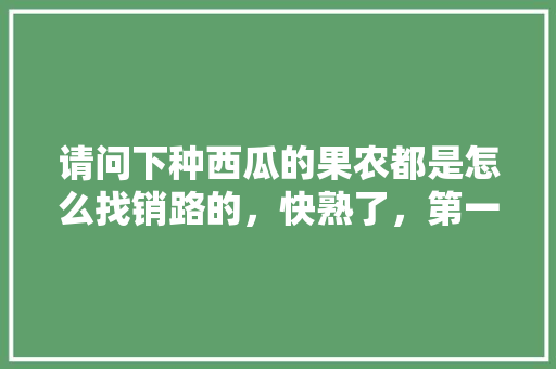 请问下种西瓜的果农都是怎么找销路的，快熟了，第一次种西瓜不懂，种植水果省钱方法视频教程。 请问下种西瓜的果农都是怎么找销路的，快熟了，第一次种西瓜不懂，种植水果省钱方法视频教程。 蔬菜种植