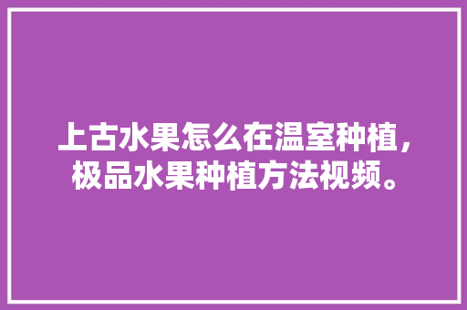 上古水果怎么在温室种植，极品水果种植方法视频。 上古水果怎么在温室种植，极品水果种植方法视频。 土壤施肥