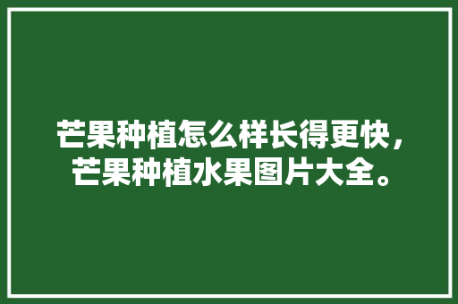 芒果种植怎么样长得更快，芒果种植水果图片大全。 芒果种植怎么样长得更快，芒果种植水果图片大全。 水果种植