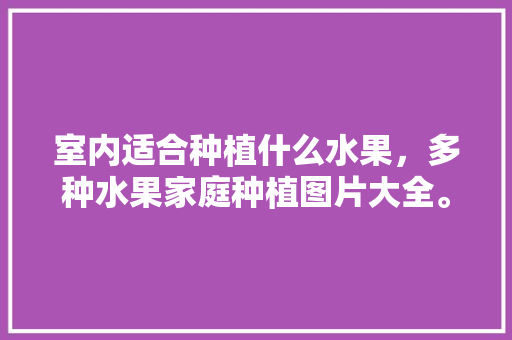 室内适合种植什么水果，多种水果家庭种植图片大全。 室内适合种植什么水果，多种水果家庭种植图片大全。 土壤施肥