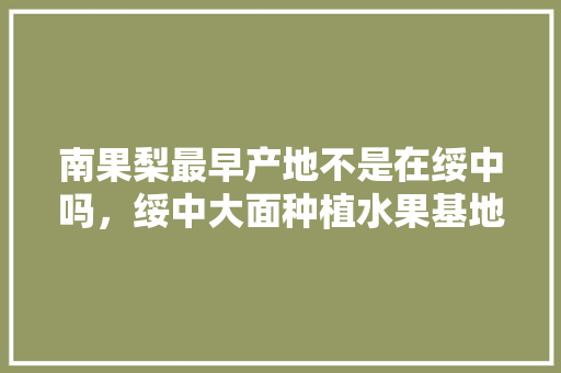 南果梨最早产地不是在绥中吗，绥中大面种植水果基地。 南果梨最早产地不是在绥中吗，绥中大面种植水果基地。 水果种植