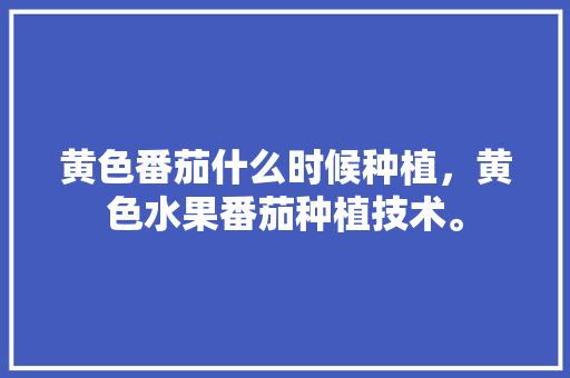 黄色番茄什么时候种植，黄色水果番茄种植技术。 黄色番茄什么时候种植，黄色水果番茄种植技术。 家禽养殖