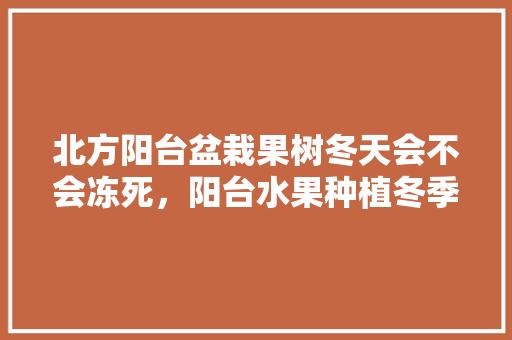 北方阳台盆栽果树冬天会不会冻死，阳台水果种植冬季怎么养护。 北方阳台盆栽果树冬天会不会冻死，阳台水果种植冬季怎么养护。 土壤施肥