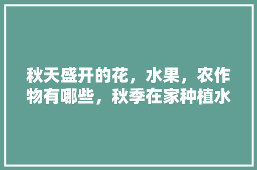 秋天盛开的花，水果，农作物有哪些，秋季在家种植水果有哪些。 秋天盛开的花，水果，农作物有哪些，秋季在家种植水果有哪些。 蔬菜种植