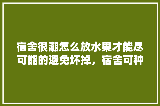 宿舍很潮怎么放水果才能尽可能的避免坏掉，宿舍可种植的水果有哪些。 宿舍很潮怎么放水果才能尽可能的避免坏掉，宿舍可种植的水果有哪些。 水果种植