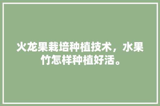 火龙果栽培种植技术，水果竹怎样种植好活。 火龙果栽培种植技术，水果竹怎样种植好活。 蔬菜种植