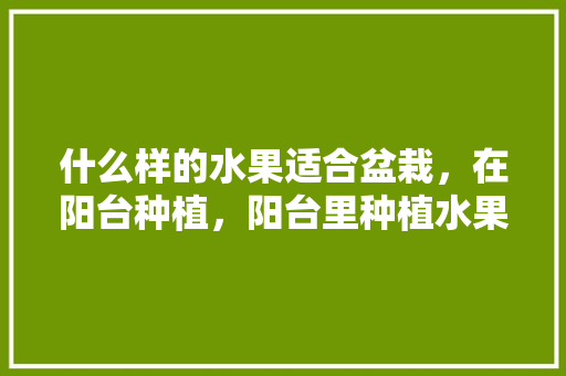 什么样的水果适合盆栽，在阳台种植，阳台里种植水果好吗。 什么样的水果适合盆栽，在阳台种植，阳台里种植水果好吗。 土壤施肥