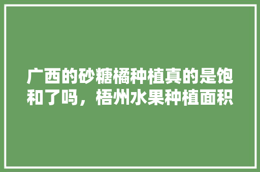 广西的砂糖橘种植真的是饱和了吗，梧州水果种植面积多大平方米。 广西的砂糖橘种植真的是饱和了吗，梧州水果种植面积多大平方米。 蔬菜种植